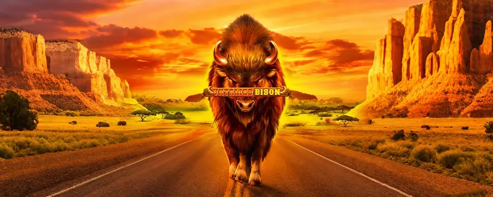 অদম্য বাইসন